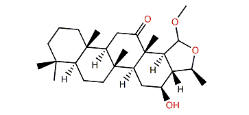 Lendenfeldarane E